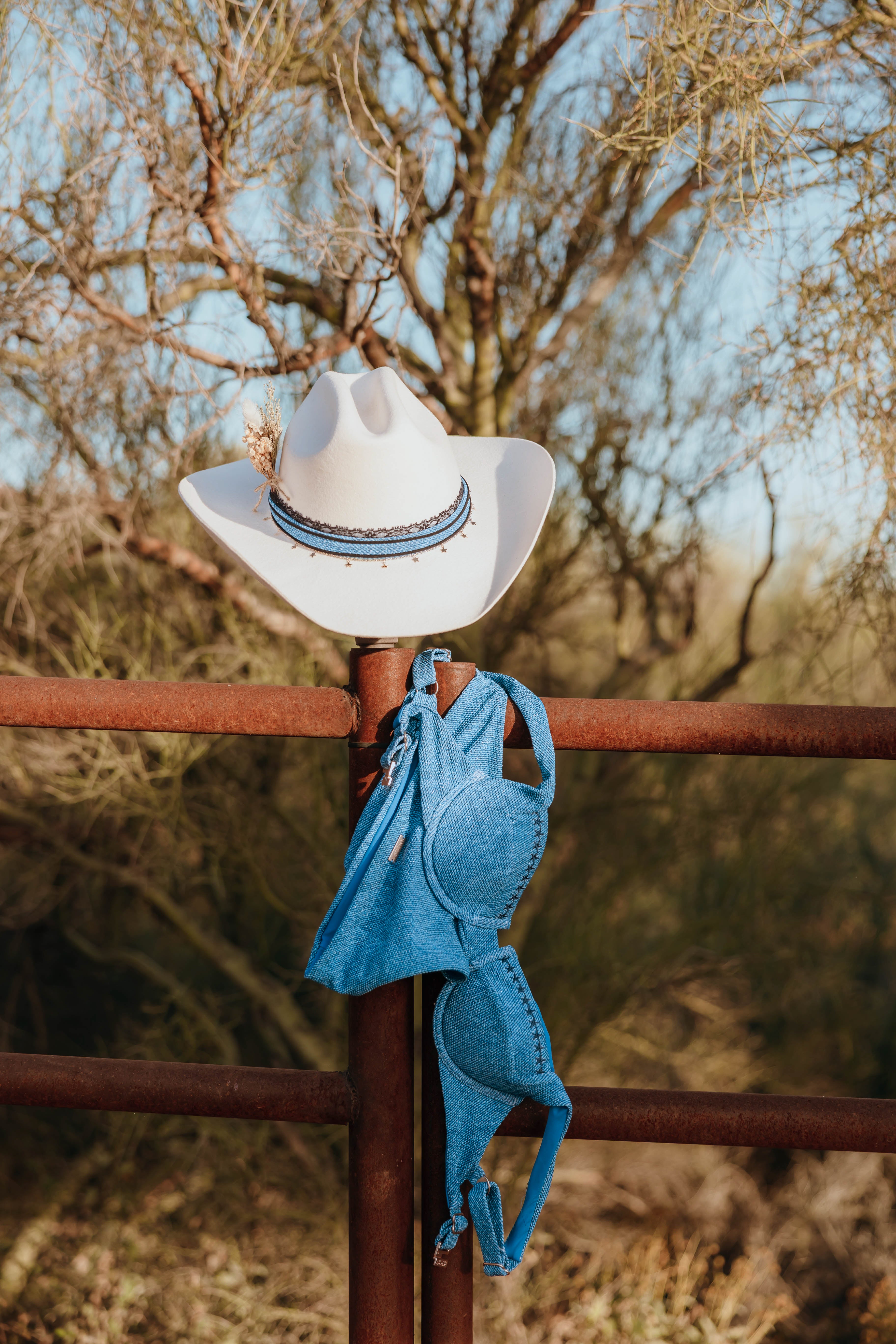 Vetchy White Cowboy Hat