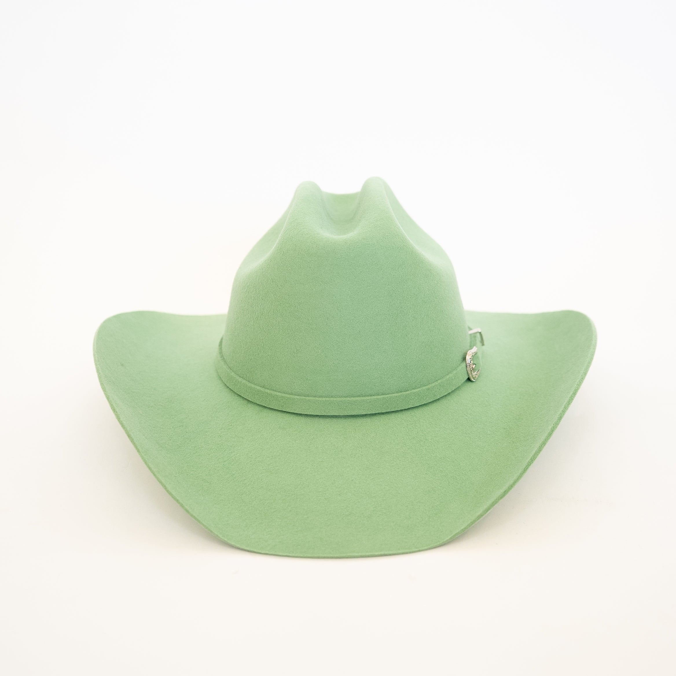 #color_sage green