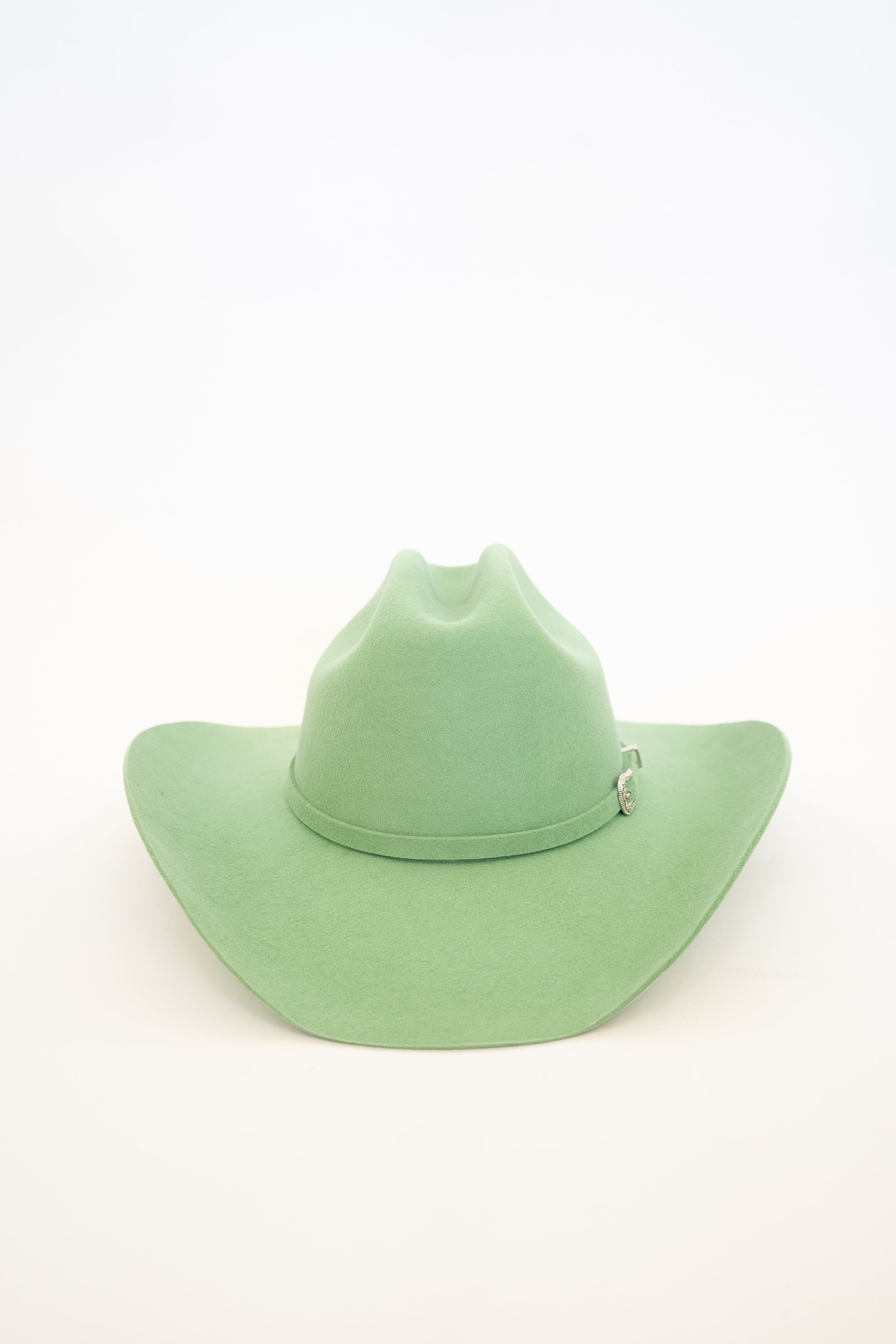 #color_sage green